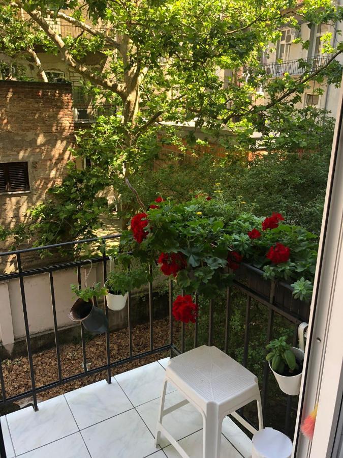 Apartman Manja Záhřeb Exteriér fotografie
